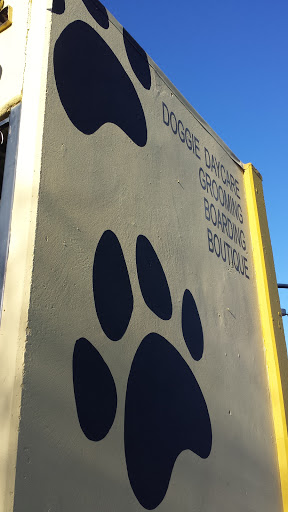 Dog Paw Mural - Concord, CA.jpg