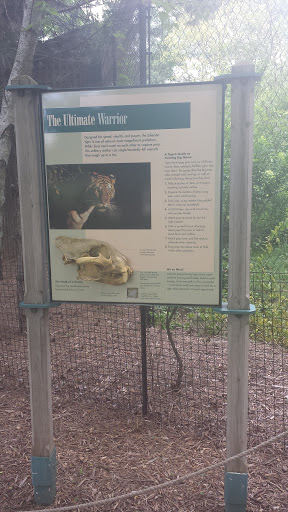 The Ultimate Warrior - Madison, WI.jpg