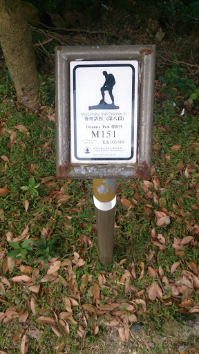 M151 - Hong Kong, Hong Kong.jpg
