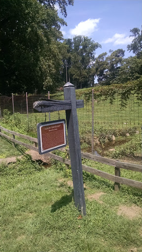 Bison Habitat - Richmond, VA.jpg