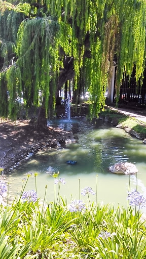 Freedom Fountains - Santa Clara, CA.jpg