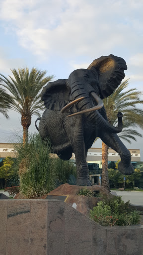 Shawu the Elephant - Ontario, CA.jpg