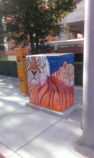 White Tiger - San Jose, CA.jpg