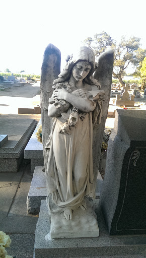 Virgin Mary Statue - Antioch, CA.jpg
