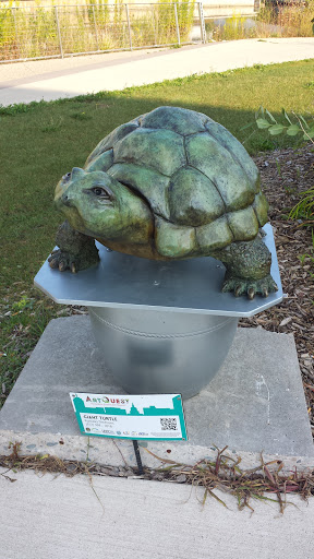Giant Turtle - Lansing, MI.jpg