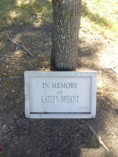 File:In Memory of Katlyn Bryant John 16-33 - Mesquite, TX.jpg