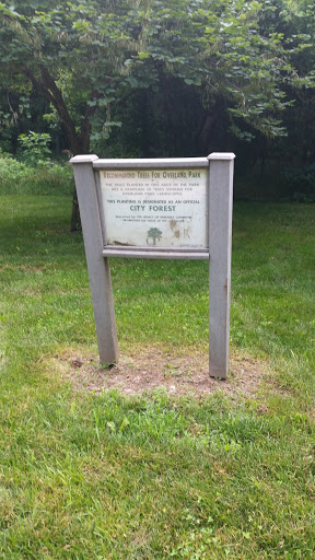 Overland Park Trees - Overland Park, KS.jpg