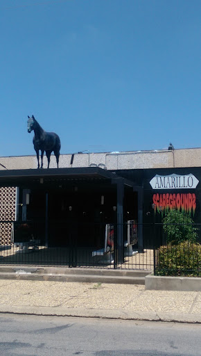 Amarillo Scaregrounds Horse - Amarillo, TX.jpg