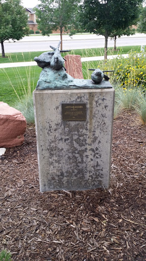Nesting Doves - Fort Collins, CO.jpg
