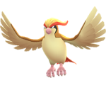 Pidgeot1.png