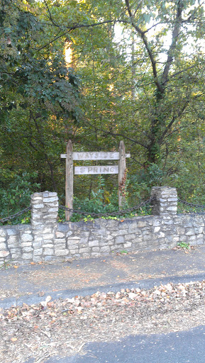 Wayside Spring - Richmond, VA.jpg