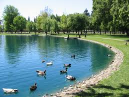 Elk grove regional park.jpg