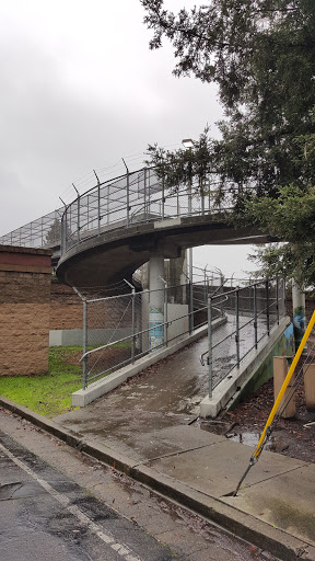 Olive Park Walking Bridge - Santa Rosa, CA.jpg