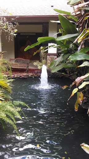 Pine Lake Lagoon Fountain North - Cooper City, FL.jpg