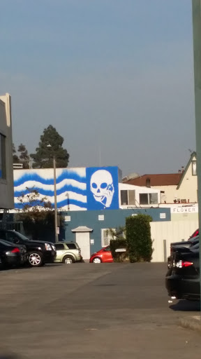 Talking Head - Los Angeles, CA.jpg