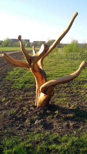 Varnished Tree Carving - Salford, England.jpg