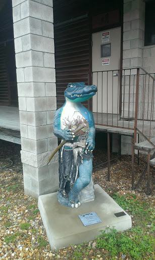 Ninja Gator - Gainesville, FL.jpg