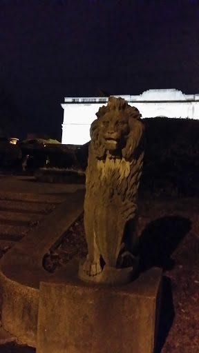 Overton Lion - Memphis, TN.jpg