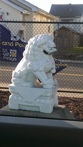 Liongoyle - Stamford, CT.jpg