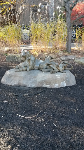 Cat Mom - Cincinnati, OH.jpg