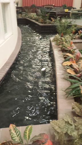 Tranquility Fountain and Pool - Hayward, CA.jpg