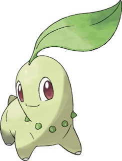 Chikorita1.png