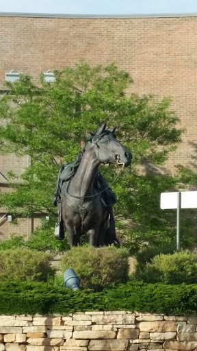 The Cowboy's Horse - Lakewood, CO.jpg