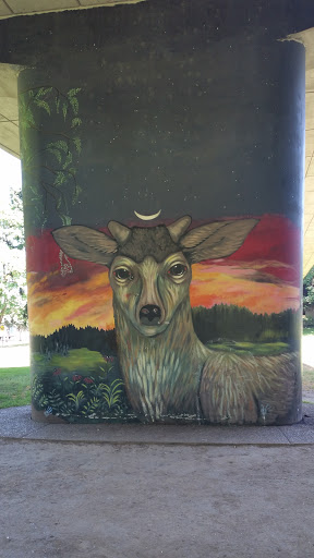 Deer Under the Bridge - Eugene, OR.jpg