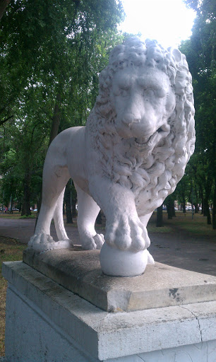 Ð»ÐµÐ² - Odesa, Odessa Oblast.jpg