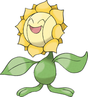 Sunflora
