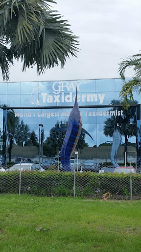 Grey's Taxidermy Marlin - Pompano Beach, FL.jpg