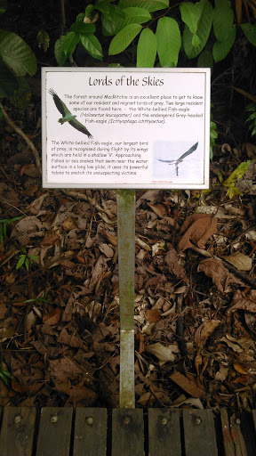 Lords of the Skies Board - Singapore, Singapore.jpg