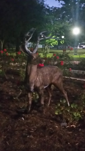 Deer Statue - Deer Park, TX.jpg