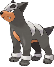 Houndour1.png