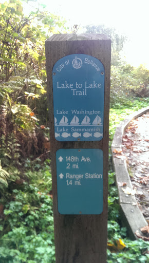 Lake To Lake Boardwalk Bog - Bellevue, WA.jpg