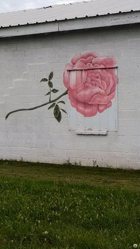 Rose District Rose Mural - Broken Arrow, OK.jpg
