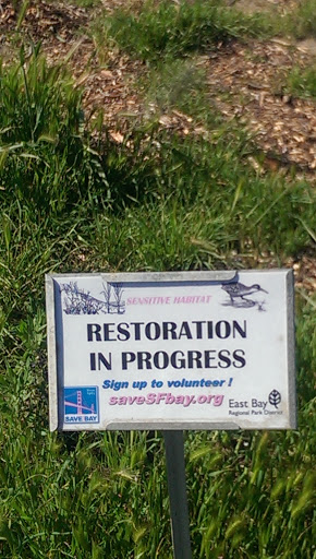 Restoration in Progress - Oakland, CA.jpg