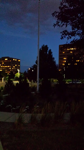 Flag Pole - Denver, CO.jpg