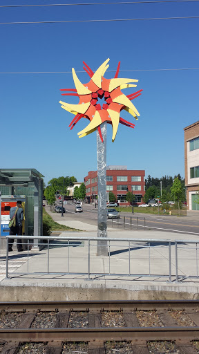 Civic Drive Iris - Gresham, OR.jpg