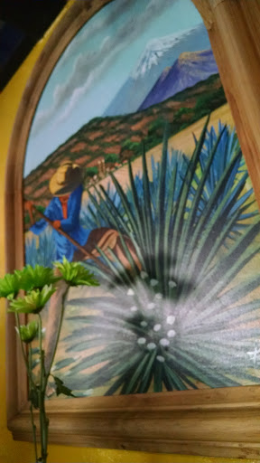 Where Tequila Comes From - Concord, CA.jpg