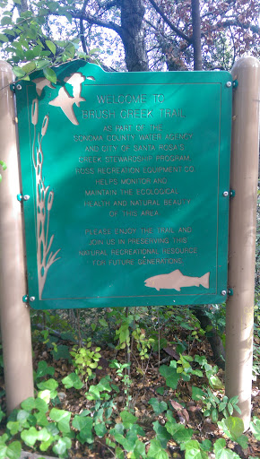 Brush Creek Trail - Santa Rosa, CA.jpg
