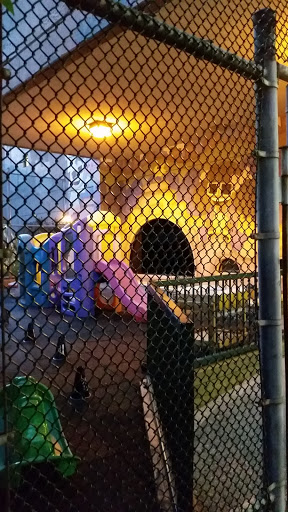 Caged Fun - Vancouver, BC.jpg