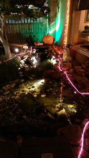 McKenna's Water Garden - Winston-Salem, NC.jpg