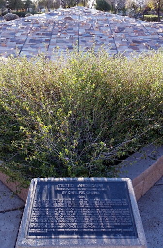 Tilted Landscape - Tempe, AZ.jpg