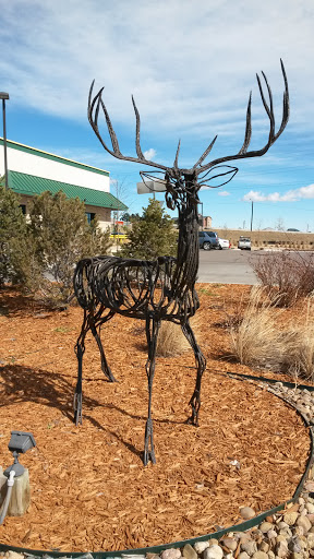 The Iron Deer - Westminster, CO.jpg