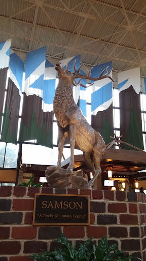 Samson - Denver, CO.jpg