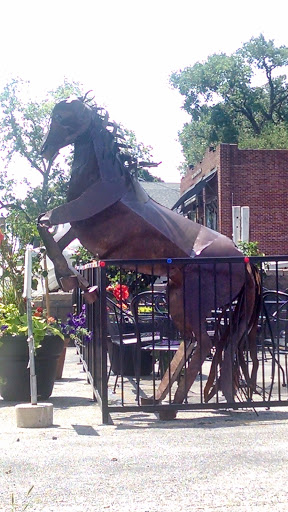 Running in the Wind Horse - Omaha, NE.jpg