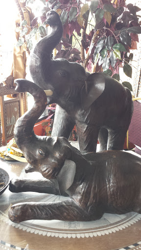 India Elephants - Tallahassee, FL.jpg