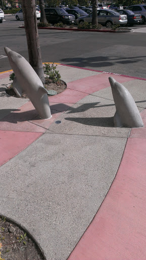 Pod Of Dolphins - Oxnard, CA.jpg