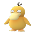 Psyduck Nest - Palo Alto Golf Course